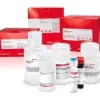 L-lactate assay kit 1 kit