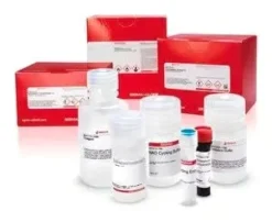 L-lactate assay kit 1 kit