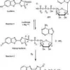 Luciferase from photinus pyralis(firefl 2 mg