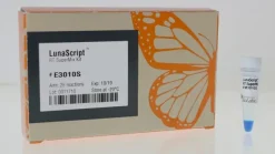 Lunascript rt supermix kit 100 réactions