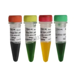 Marqueur adn en tube 500µl 100 à 3000 pb