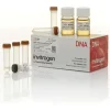Max efficiency dh5a competent cells-5 x 200 µL