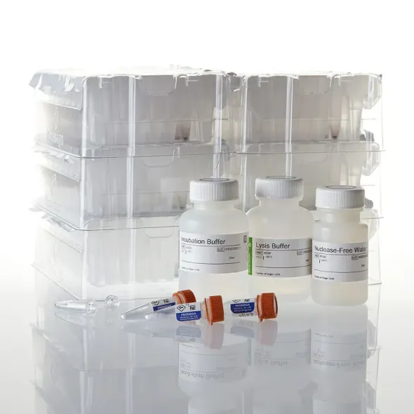 Maxwell RSC FFPE Plus DNA Kit 48 preps