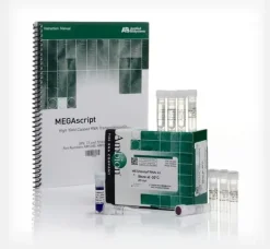 Megascript rnai kit-20 réactions