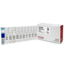 Megashortscript t7 transcription kit-25 réactions