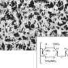 Membrane filtrante nitrate de cellulose 1,2µm 47 mm x 100