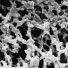 Membrane mf-millipore mixed cellulose esters hydrophile 0,22 µm 90 mm blanc plain x 100