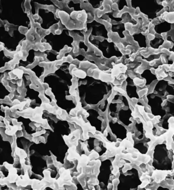 Membrane mf-millipore mixed cellulose esters hydrophile 0,22 µm 90 mm blanc plain x 100