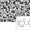 Membrane nitrate de cellulose 25 mm 5µm x 100