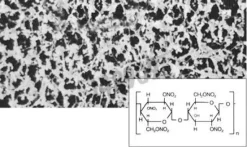 Membrane nitrate de cellulose 25 mm 5µm x 100