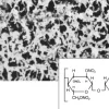 Membrane nitrate de cellulose 47 mm 3µm x 100