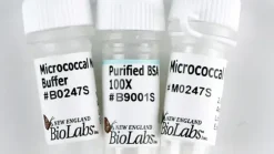 Micrococcal nuclease -units 320000 gels