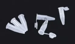 Microtube 1,5 ml PP gradué x 1000