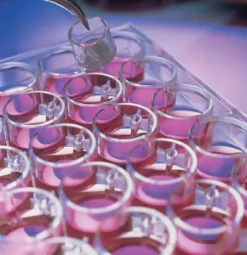 Millicell cell culture insert 30 mm hydrophilic ptfe 0,4 µm x 50