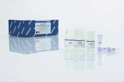 MinElute PCR Purification Kit (50)