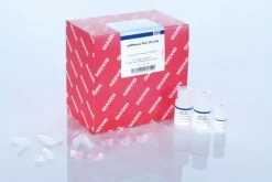 MiRNeasy Mini Kit (50)
