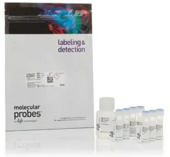 Mitoprobe jc-1 assay kit-1 kit