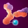 Mix-n-stain maxi hrp antibody labeling kit, 1x1 mg labeling 1 kit