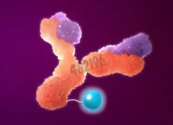 Mix-n-stain maxi hrp antibody labeling kit, 1x1 mg labeling 1 kit