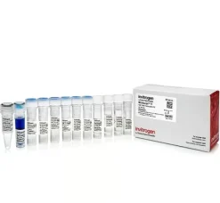 Mmessage mmachine t3 transcription kit-25 réactions
