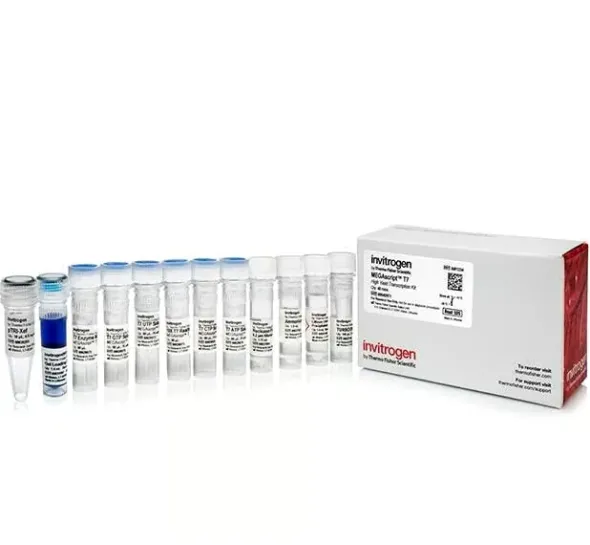 Mmessage mmachine t3 transcription kit-25 réactions