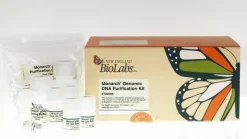 Monarch genomic dna purification kit 50 preps