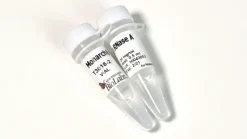 Monarch rnase a 1 ml