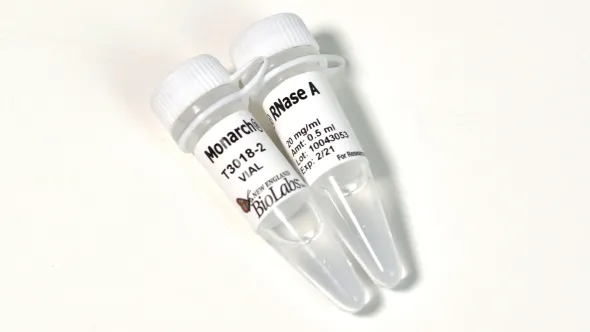 Monarch rnase a 1 ml