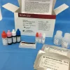 Monkey Esophagus (IgG IgA) sur QUANTA-Lyser Ts 1 Kit 50 puits