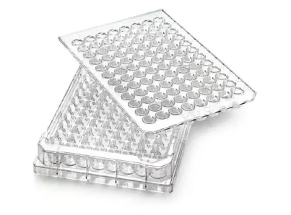 Multiscreen-mesh 60 µm clair non stérile x 10