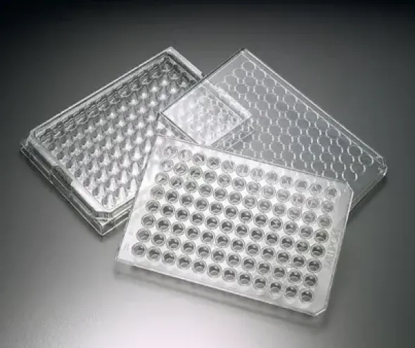 Multiscreen migration invasion and chemotaxis 3,0 µm clair stérile x 10
