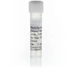 Multiscribe reverse transcriptase-100 µL