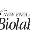 NEBNext Enzymatic Methyl-seq Kit (EM-seq)