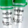 Nebnext ffpe dna repair mix 96 réactions