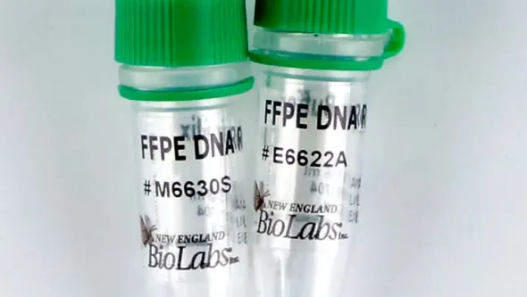 Nebnext ffpe dna repair mix 96 réactions