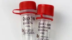 Nebnext quick ligation module 100 réactions