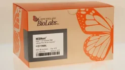Nebnext ultra ii directional rna library prep kit illumina 24 réactions