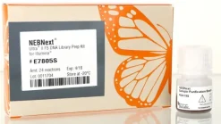 Nebnext ultra ii fs dna library prep with beads 24 réactions