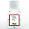 Neomycine (sulfate) 10 mg/ml 50 ml