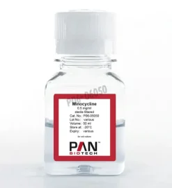 Neomycine (sulfate) 10 mg/ml 50 ml