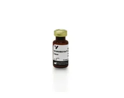 Neurobiotin tracer (50mg)