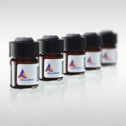 NK Cell Isolation Kit human/for 1×10E9 total cells