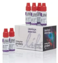 Nucred live 647 readyprobes reagent-1 kit