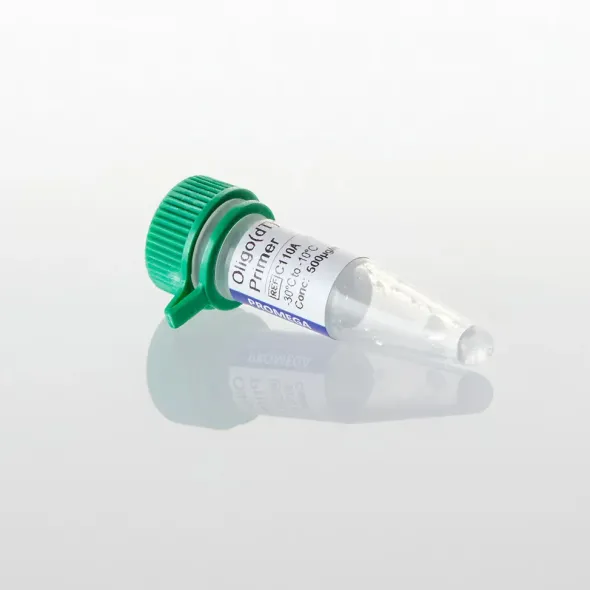 Oligo(dT) 15 Primer 500ug/ml 20 µg
