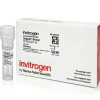 Oligo (dt) primer (50 um)-80 µL