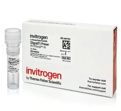Oligo (dt) primer (50 um)-80 µL