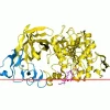 Pancreatin USP 500 g