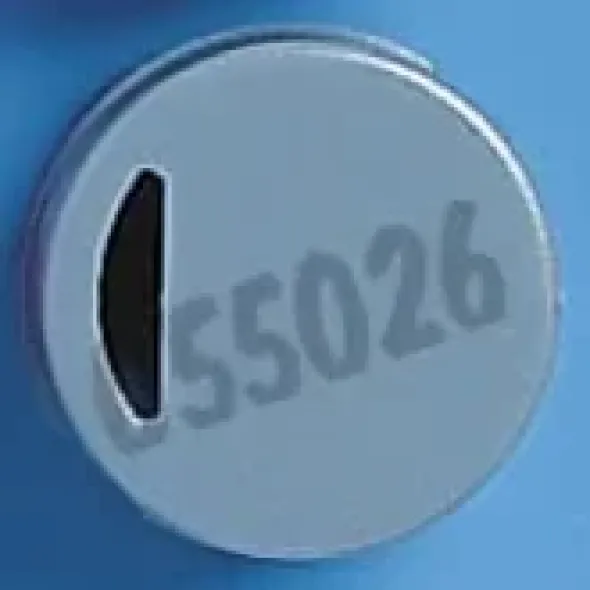 Pastille grise cryotube x 500