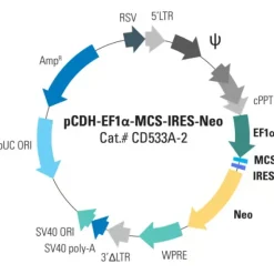 Pcdh -ef1-mcs-ires-neo cdna cloning and expression vector 10 µg