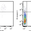 PE Annexin V 300 tests